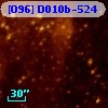 [O96] D010b-524