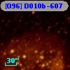 [O96] D010b-607