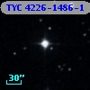 TYC 4226-1486-1