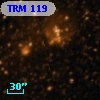 TRM 119
