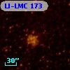 LI-LMC  173