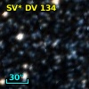 SV* DV   134