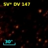 SV* DV   147