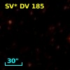 SV* DV   185