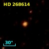 HD 268614