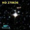 HD 270636