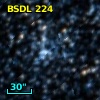 BSDL  224