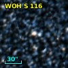 2MASS J05003845-6830524
