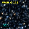 WOH G 115