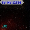 SV* HV 12530