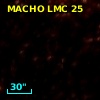MACHO LMC 25