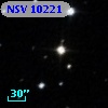 NSV 10221