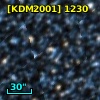 [KDM2001]  1230