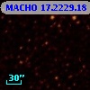 MACHO  17.2229.18