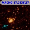 MACHO  17.2836.37