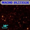 MACHO  18.2233.56