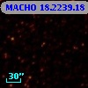 MACHO  18.2239.18