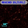 MACHO  18.2595.2