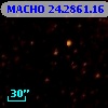 MACHO  24.2861.16