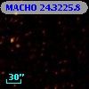 MACHO  24.3225.8