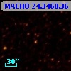 MACHO  24.3460.36
