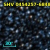 2MASS J04541429-6844141