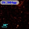 SN 2004gp
