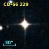 CD-66   229