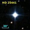 HD  25441
