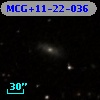 MCG+11-22-036