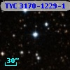 TYC 3170-1229-1