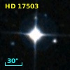HD  17503