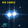 HD  16852