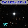 TYC 3170-1272-1