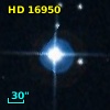 HD  16950