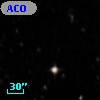 ACO  3031