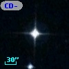 CD-55   524