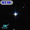 WT   80