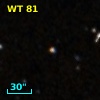 WT   81