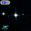 CD-53   421