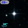 CD-53   436