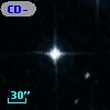 CD-53   437