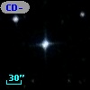 CD-54   442