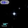 CD-53   394