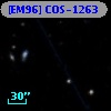 [EM96] COS-1263