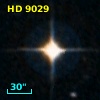 LTT   803