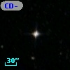 CD-45   524