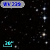WV 239