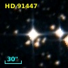 HD  91447