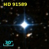 HD  91589